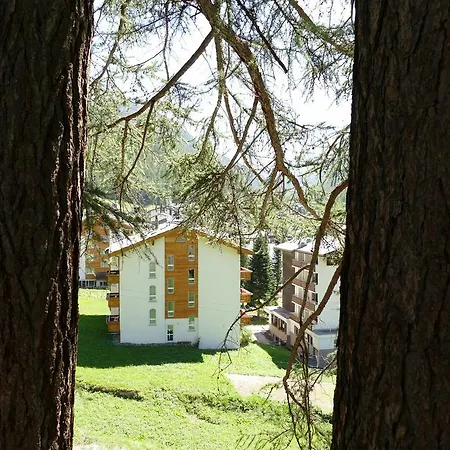 Rubin Superior Apartment